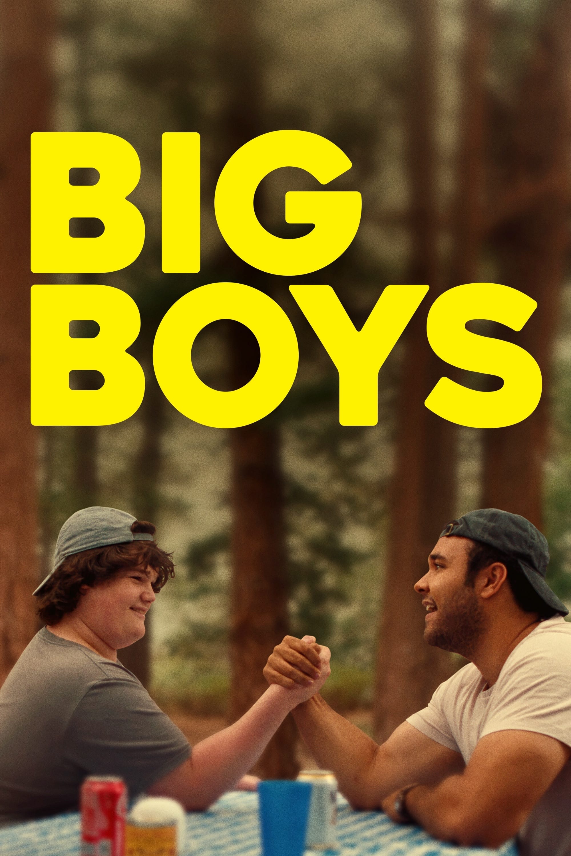 Big Boys Hindi Dubbed Movie Poster (2024)