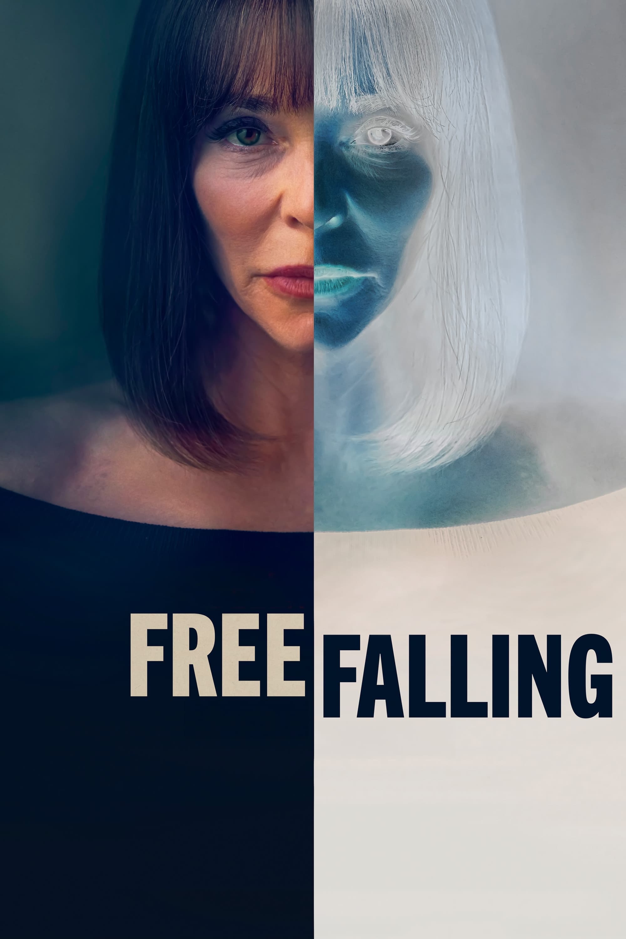 Free Falling Hindi Dubbed Movie Poster (2024)